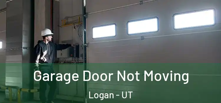  Garage Door Not Moving Logan - UT