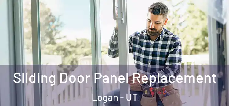  Sliding Door Panel Replacement Logan - UT